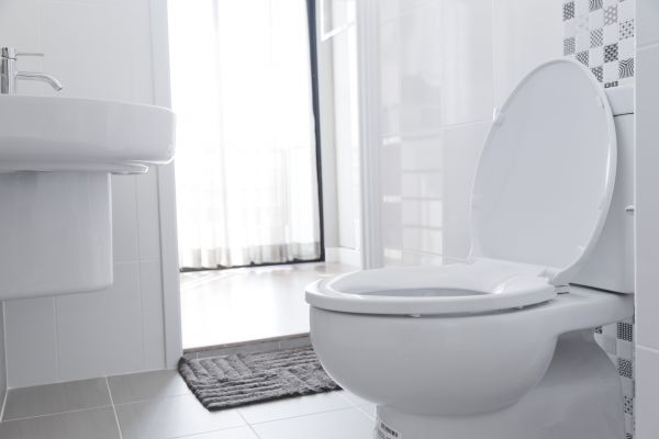 Cost of Toilet Seat Installation in Parker