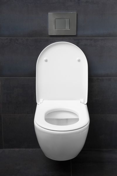 Cost of Toilet Lid Installation in Parker