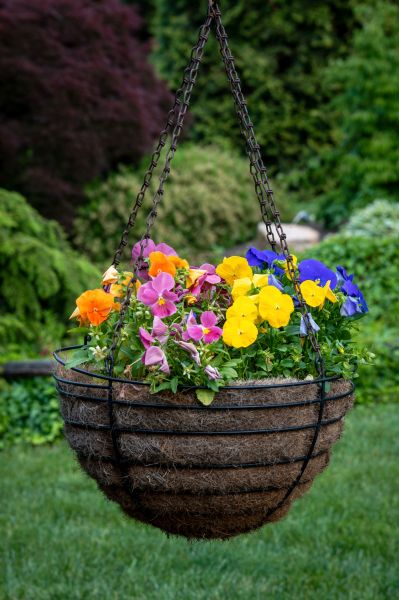 Cost of Hanging Basket Installation in Parker