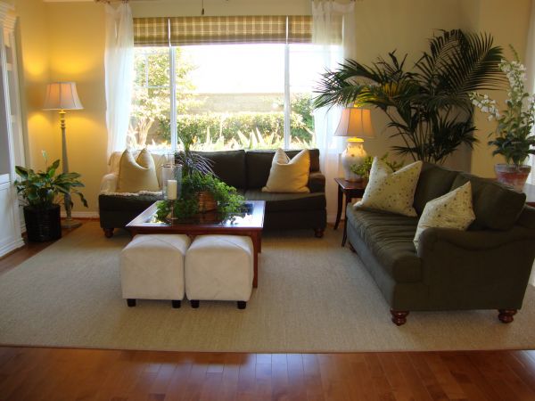 Cost of Valance Rod Installation in Parker