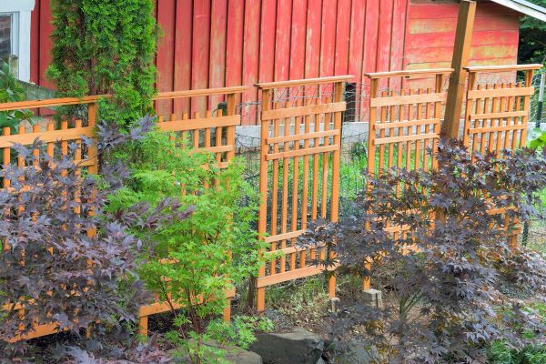 Cost of Wood Trellis Mounting in Parker