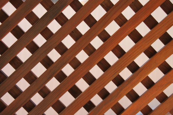 Cost of Wood Lattice Repair in Parker