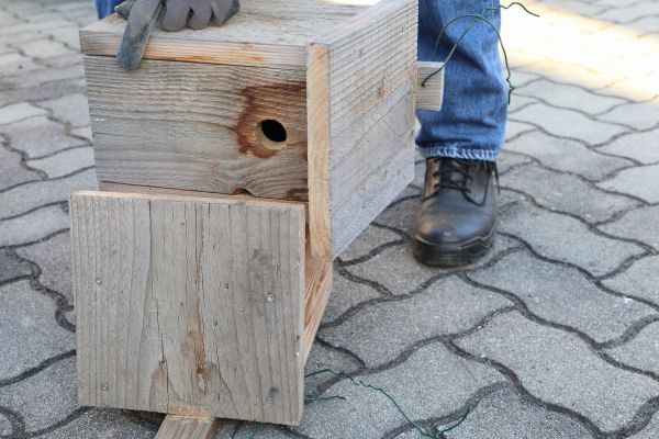 Cost of Birdhouse Mounting in Parker