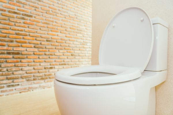 Cost of Toilet Seat Repair in Parker